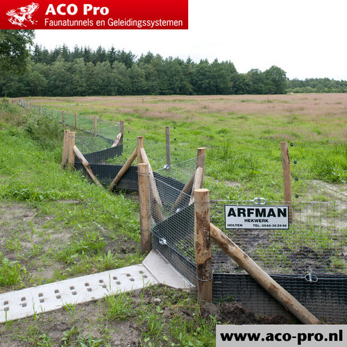 ACO-Pro-Arfman-Opname-zomer-03