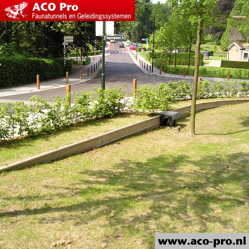 ACO-Pro-Rozendaal-bedriegertjes09
