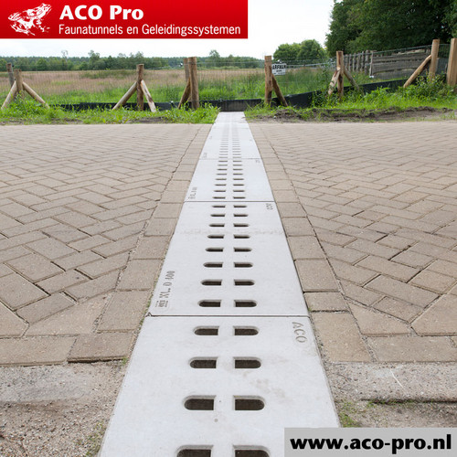 ACO-Pro-Arfman-Opname-zomer-04