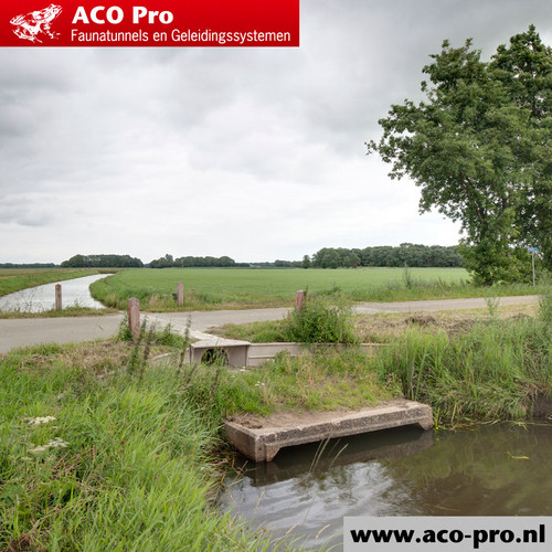 ACO-Pro-Arfman-Opname-zomer-01