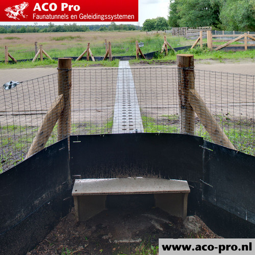 ACO-Pro-Arfman-Opname-zomer-06