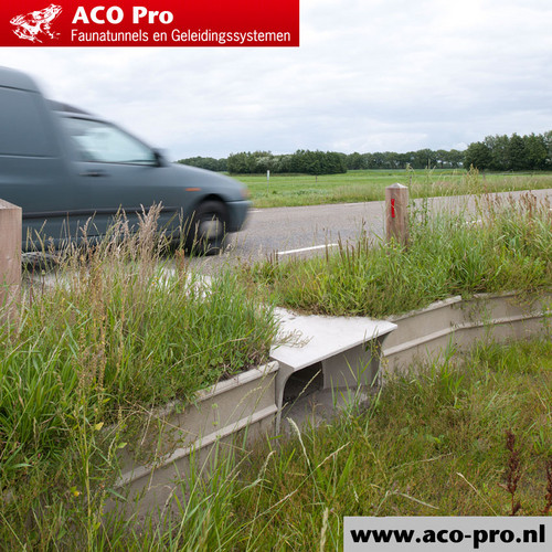 ACO-Pro-Arfman-Opname-zomer-02