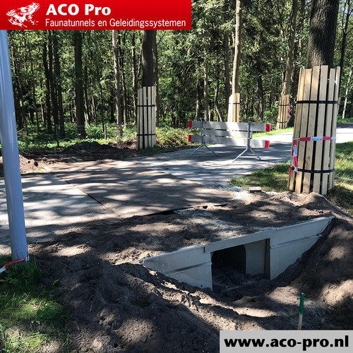 ACO-Pro-Faunatunnel-Bouwen-aan-ecologische-samenhang-06